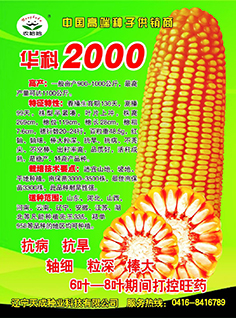 华科2000